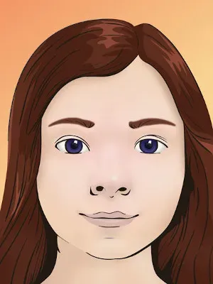 Aria described by