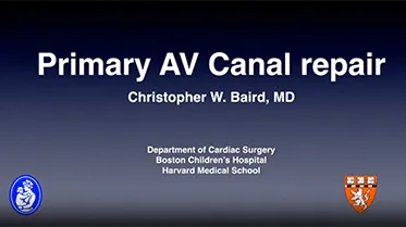 Primary AV Canal Repair