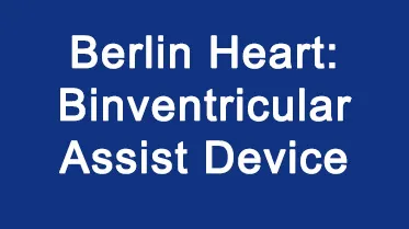 Berlin Heart